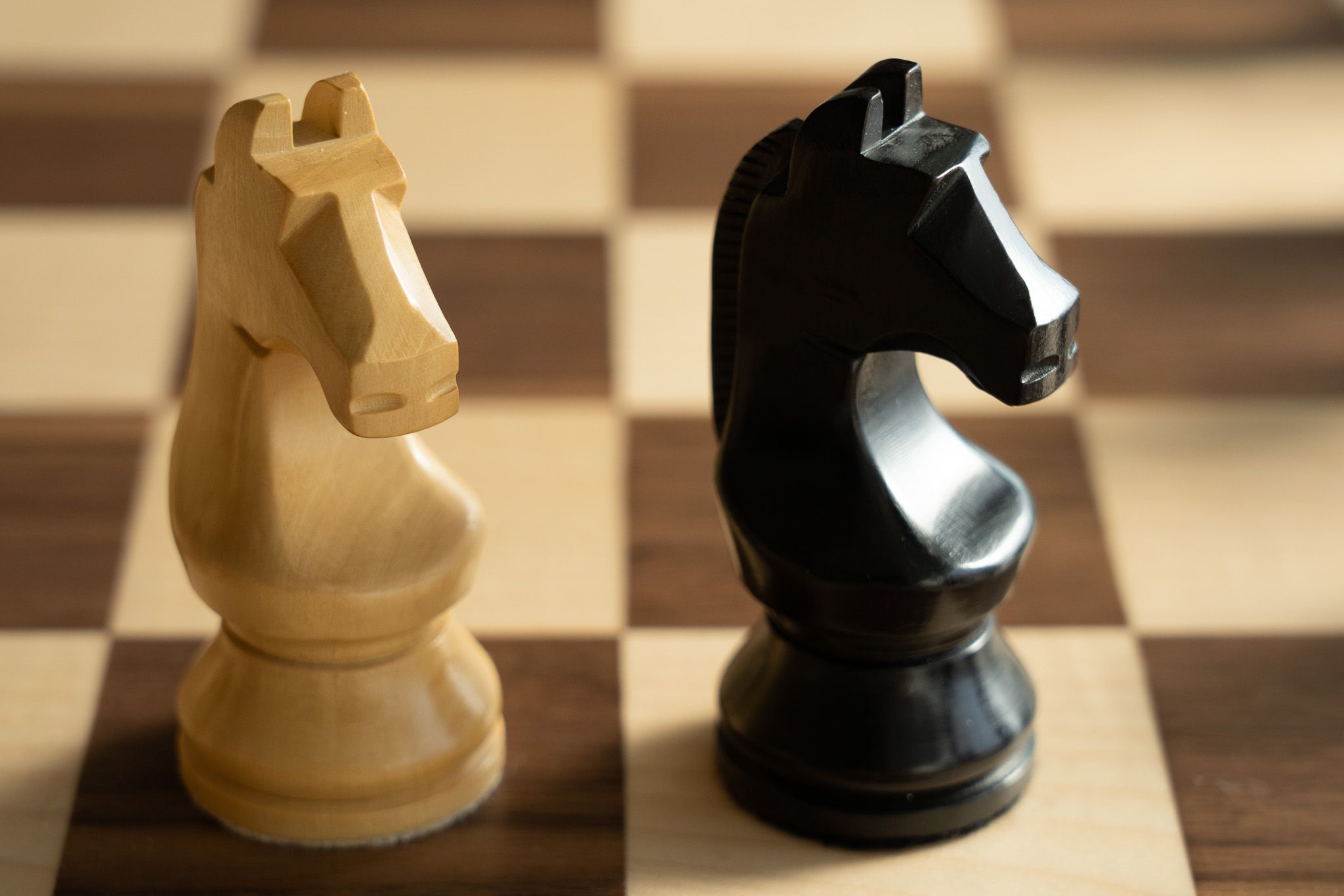 Official World Chess Championship Pieces 