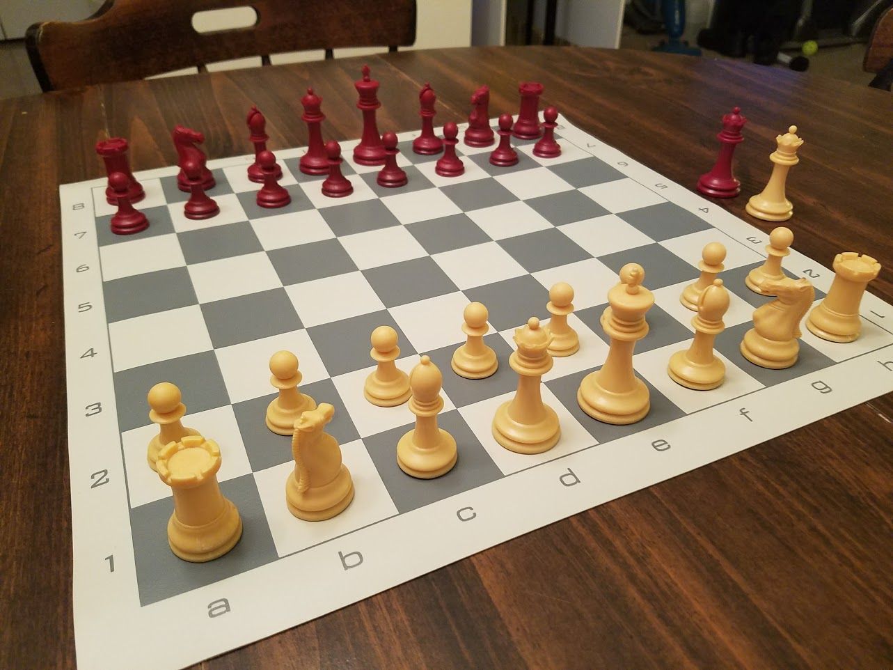 Где стоит король в шахматах фото