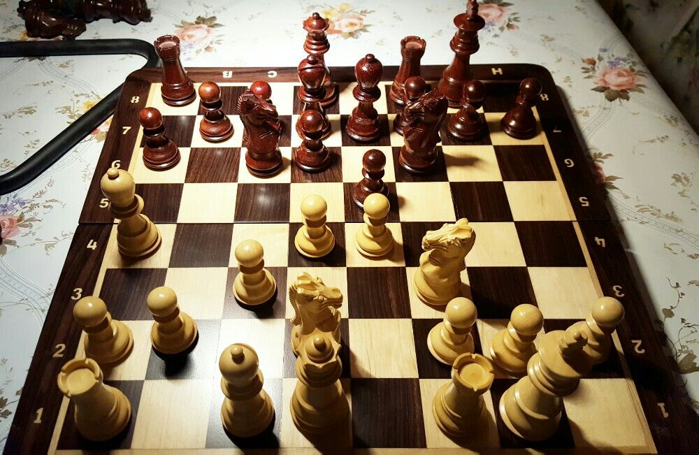 Analysis Chess Pieces with 2.5 King – American Chess Equipment