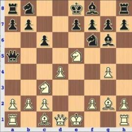 Chess.Net