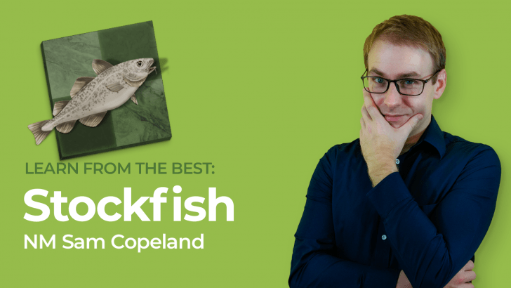 Learn From The Best: Stockfish