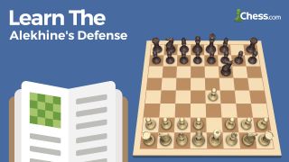 Learn The Alekhine's Defense