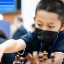The Pandemic Effect: How Young Will Grandmasters Become?