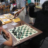 Gorilla Spotted Playing Chess