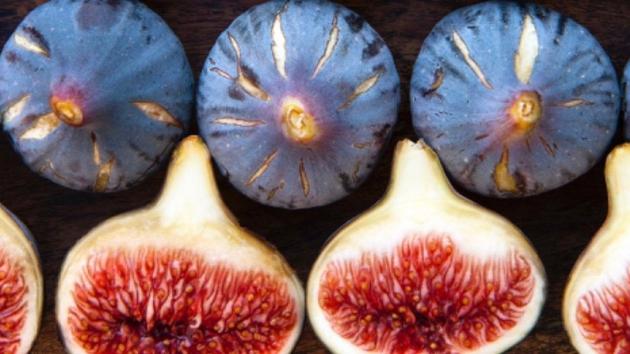 Oldest Fruit Known to Man TM November 2019