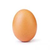 a_scrambled_egg