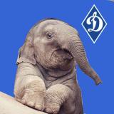 Elephant_Dynamo