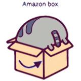 AmazonBoxCat007