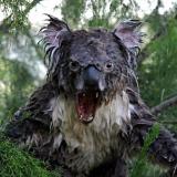 raging_koala