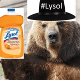 Lysol_Bear