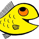 23Yellowfish