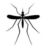 Mosquito_Prince