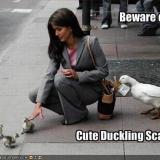 The_Evil_Ducklings