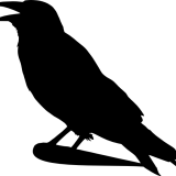 Raven6