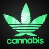 Cannabis_Sativa