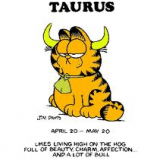 Taurus53