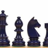 ChessFanatic95