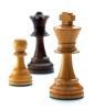 chessoholicalien