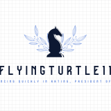 FlyingTurtle11
