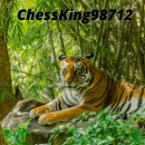 ChessKing98712