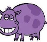the_purple_cow