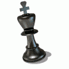M_chess1979