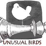 UnusualBird