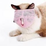 Muzzled_Kitten