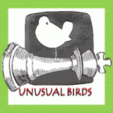 UnusualBirds