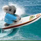 surfingkoala0410
