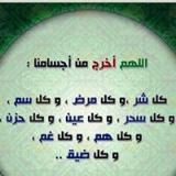 ashraf_kamel