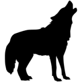stalkingwolf