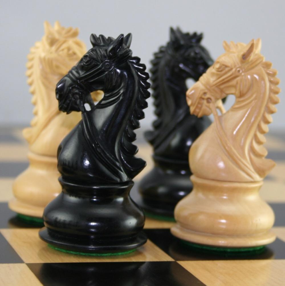 2 коня шахматы. Шахматный конь. Шахматная фигура конь. Красивый шахматный конь. Конь из шахмат.