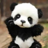 pandas_are_fun