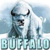 W-buffalo