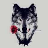 The-Lone-Wolf
