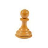 chesspawn007
