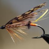 salmon_fly_fisher