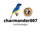 charmander007