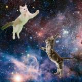 Cat_In_Space