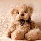 teddybear053
