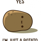 potato08