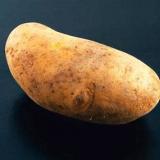 just-potato