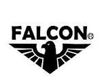 Egyptian_falcon