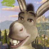 wise-donkey