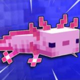 minecraft_axolotl