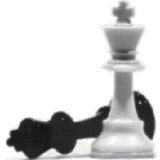 _Chess-is-life_