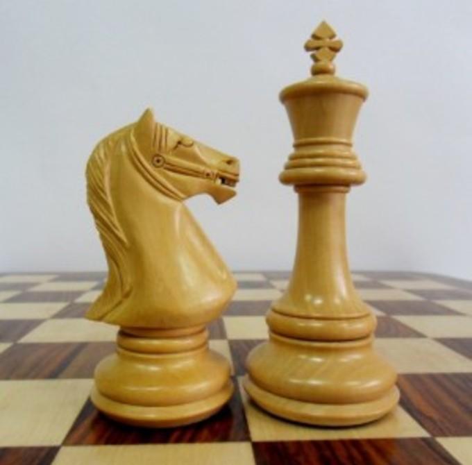 2 коня шахматы. Шахматы конь ферзь Ладья. Шахматы пешка ферзь Король слон конь Ладья. Конь Король и ферзь шахматные фигуры. Шахматные фигуры слон ферзь пешка Ладья.
