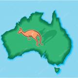 Floppy-the-cutest-kangaru