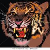 Banglar_-_Tiger